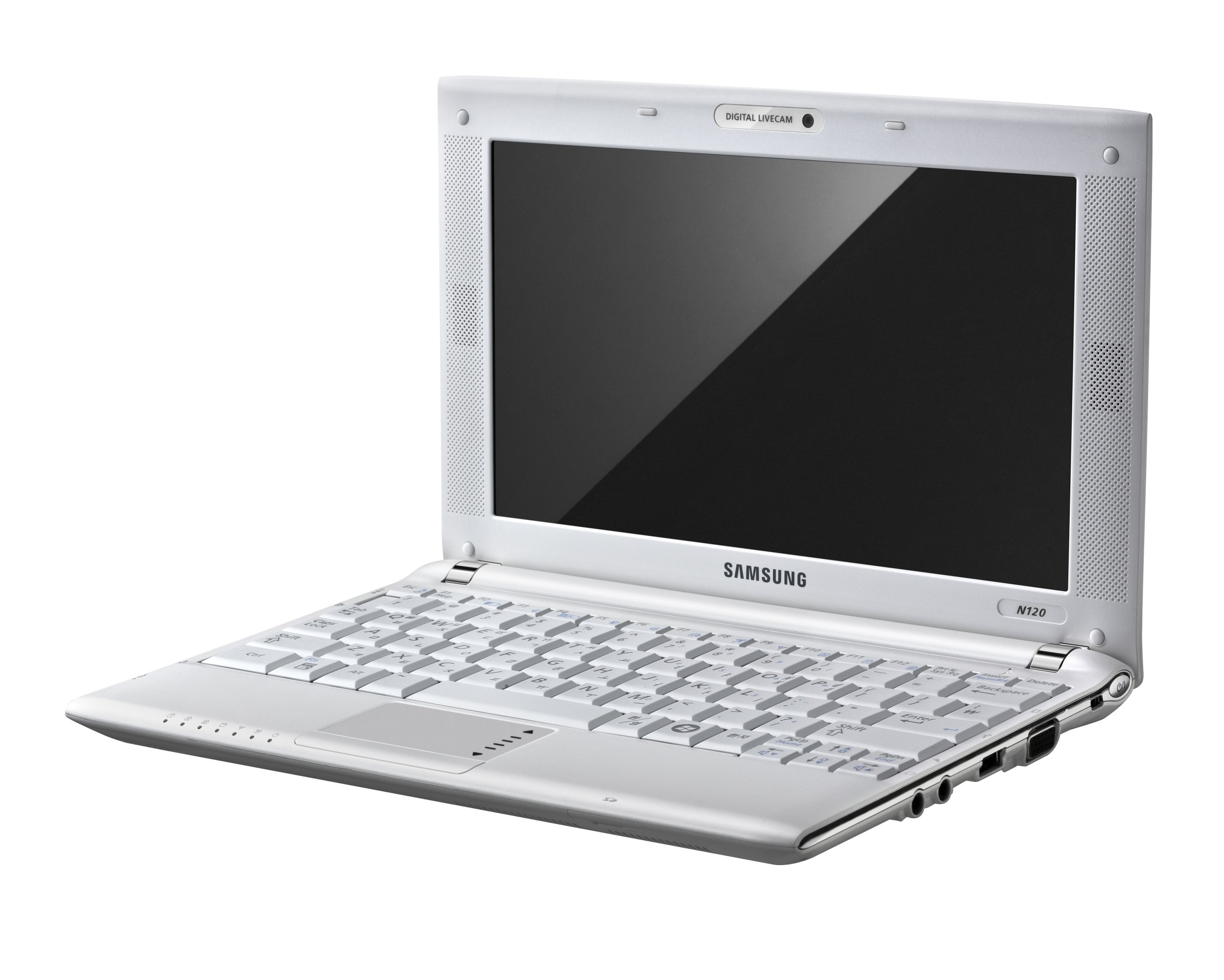 Samsung N120 10.1-inch Netbook (Intel Atom N270 1.6 GHz, 1 GB RAM